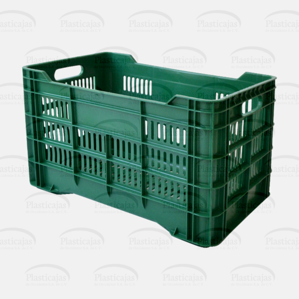 Cesta Colima