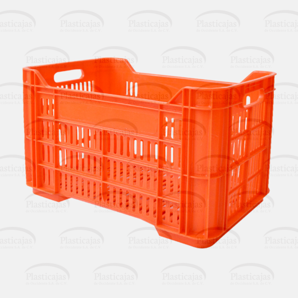 Cesta Chapala