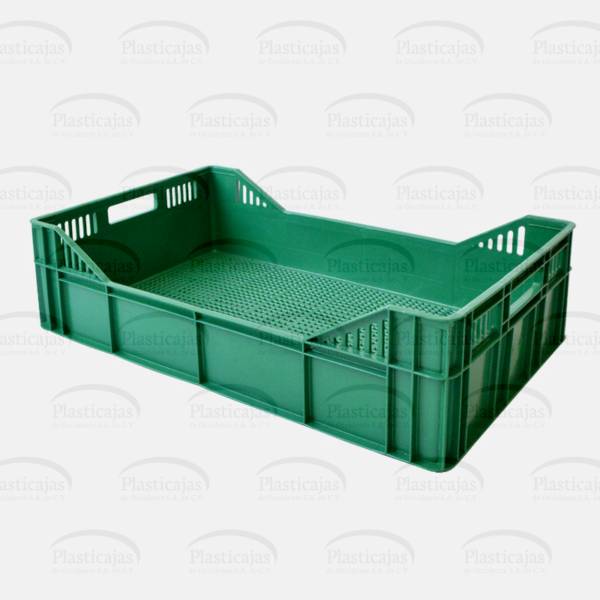 Cesta Sonora