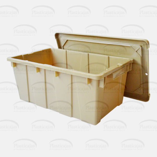 Cesta Tampico