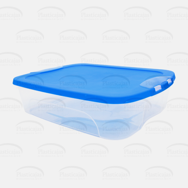 Caja bajo cama con tapa