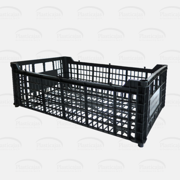 Cesta Aguacatera