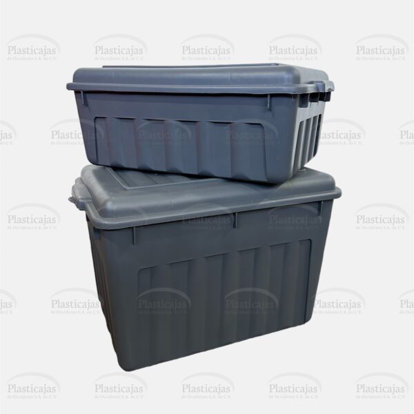 Caja Forza