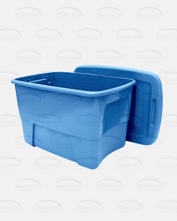 Caja Atlanta - Imagen 2