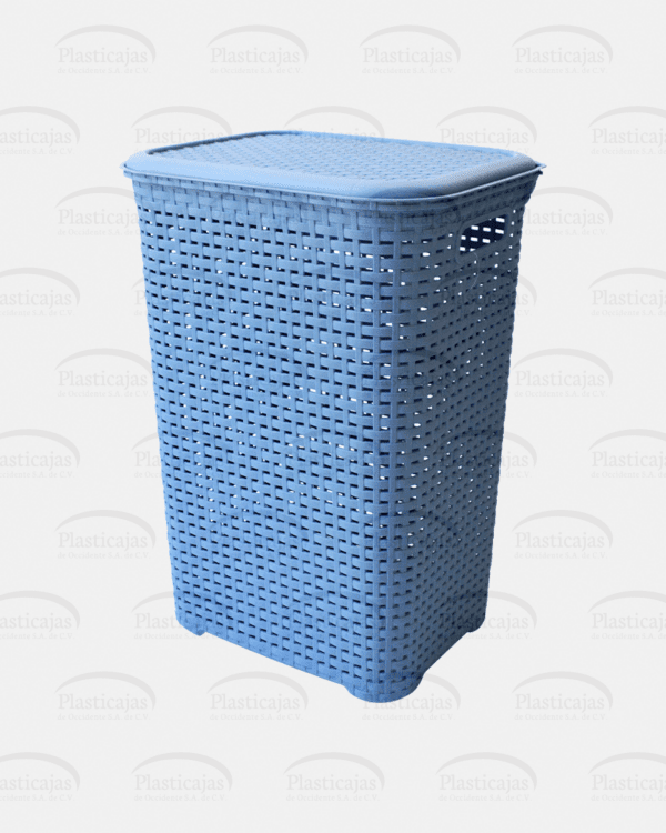 Cesto Rattan con Tapa - Imagen 2